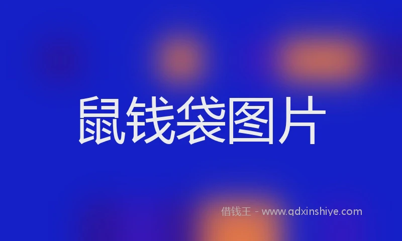鼠钱袋图片