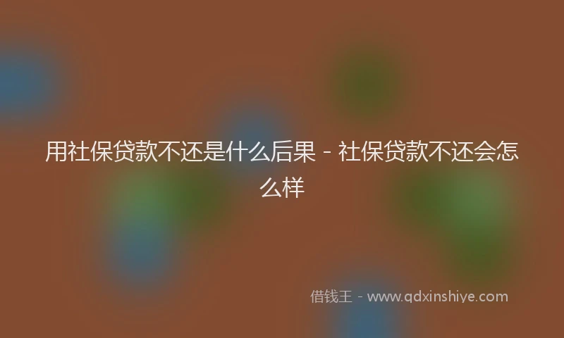 用社保贷款不还是什么后果 - 社保贷款不还会怎么样