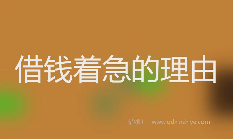 借钱着急的理由