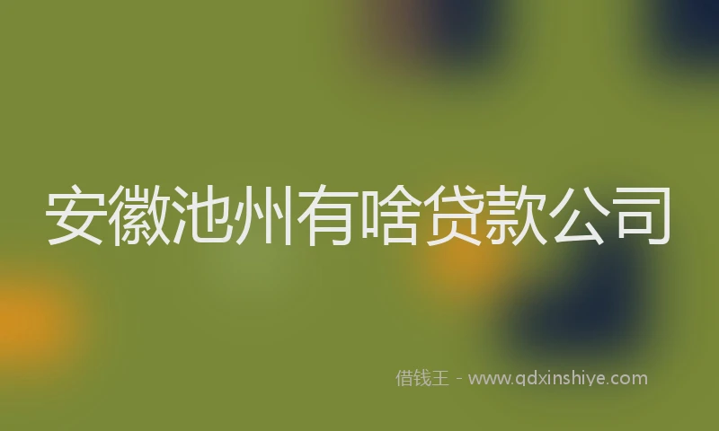 安徽池州有啥贷款公司