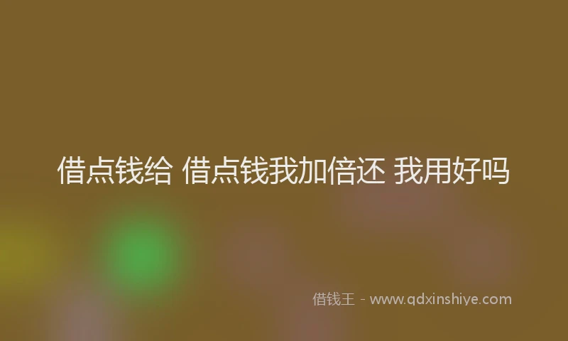 借点钱给 借点钱我加倍还 我用好吗