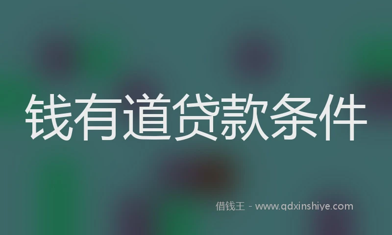 钱有道贷款条件