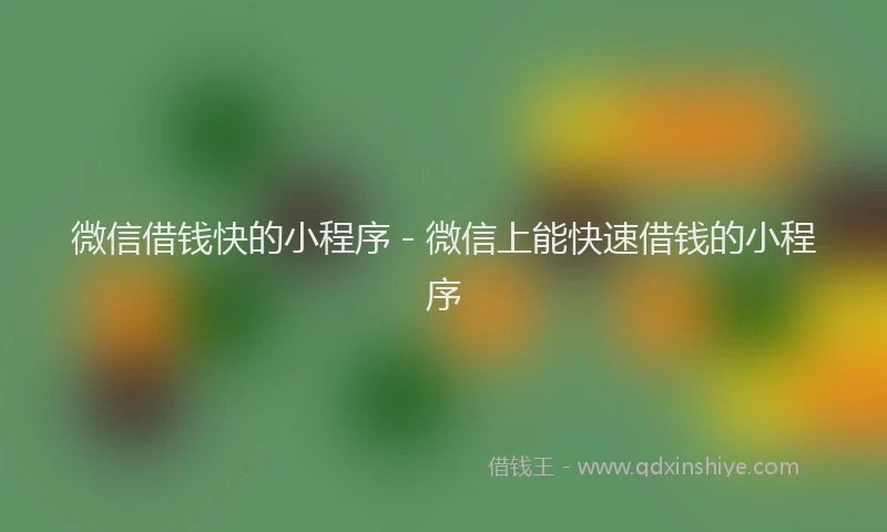 微信借钱快的小程序 - 微信上能快速借钱的小程序