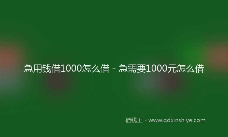 急用钱借1000怎么借 - 急需要1000元怎么借