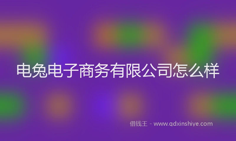 电兔电子商务有限公司怎么样