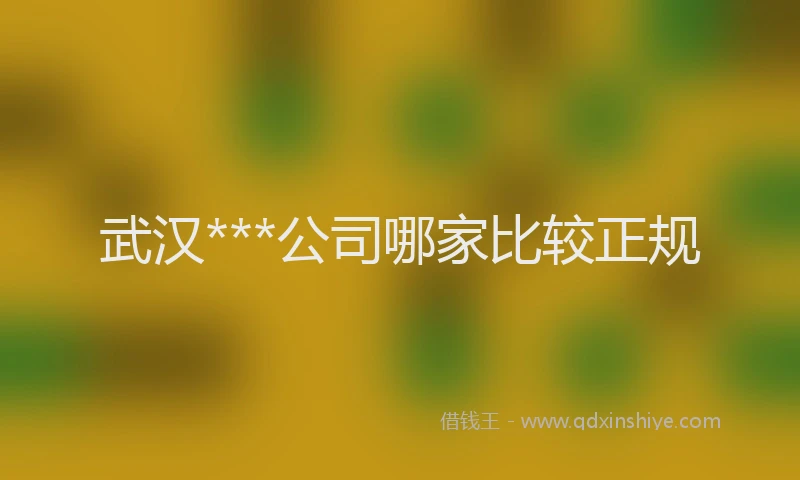 武汉***公司哪家比较正规