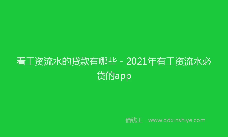 看工资流水的贷款有哪些 - 2021年有工资流水必贷的app