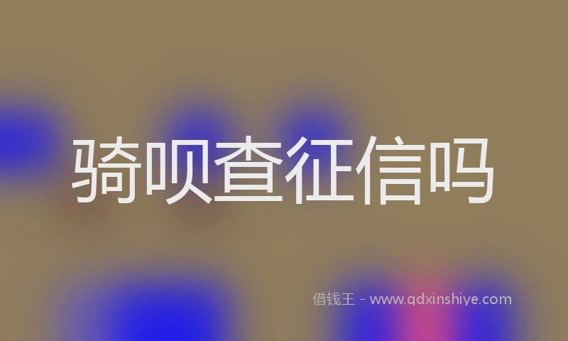 骑呗查征信吗
