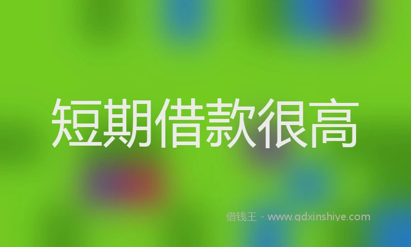 短期借款很高