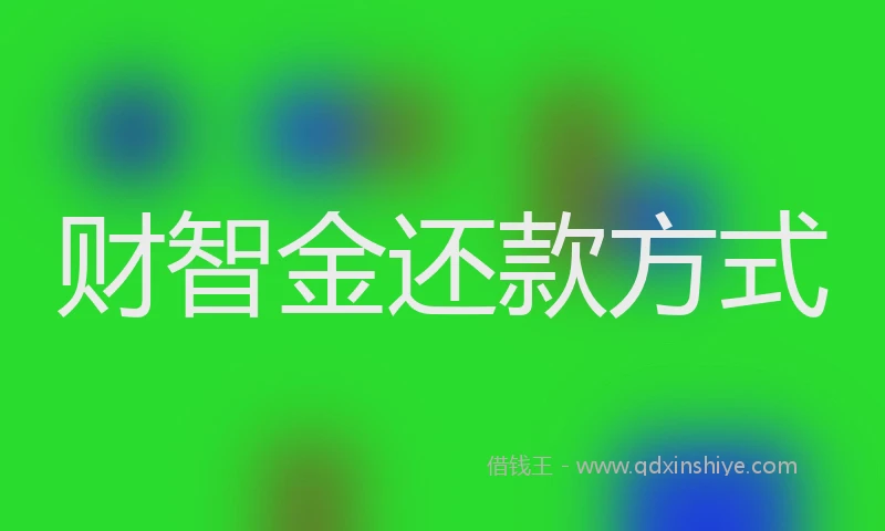 财智金还款方式