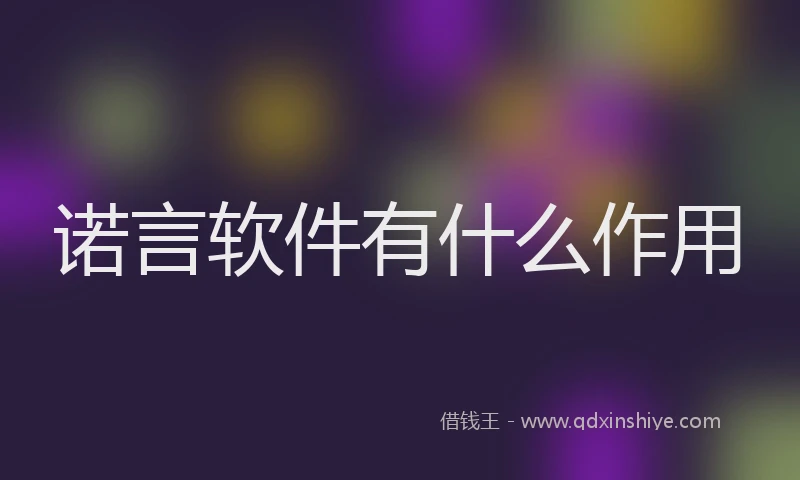 诺言软件有什么作用