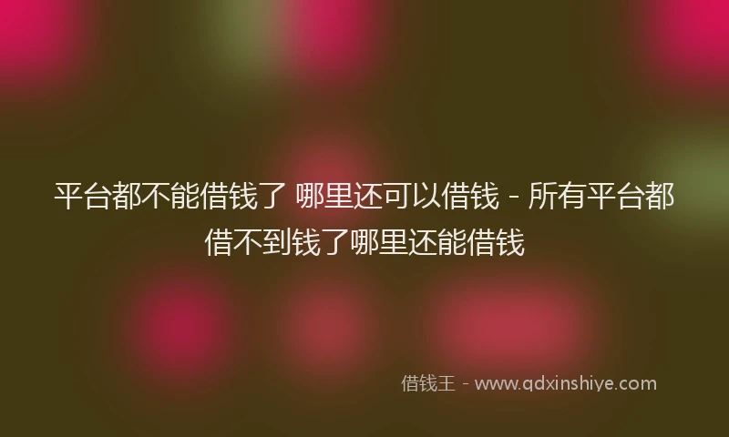 平台都不能借钱了 哪里还可以借钱 - 所有平台都借不到钱了哪里还能借钱