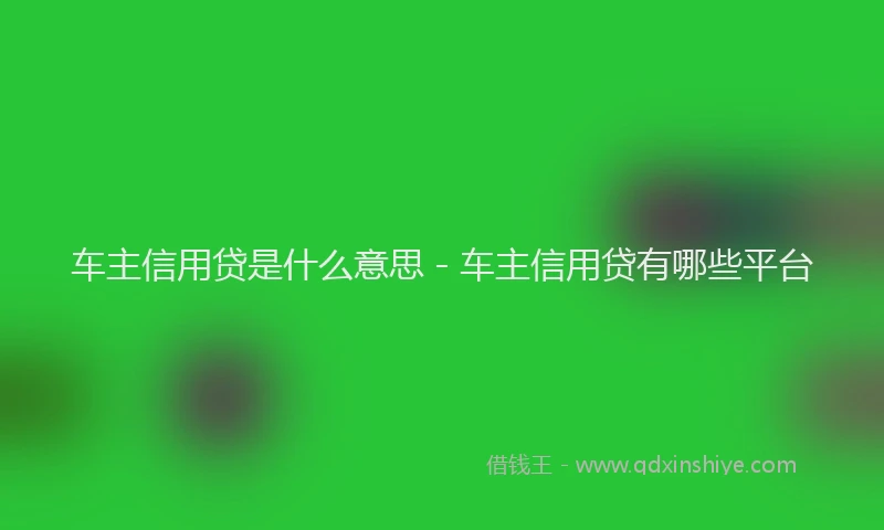 车主信用贷是什么意思 - 车主信用贷有哪些平台
