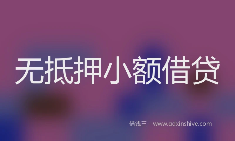 无抵押小额借贷