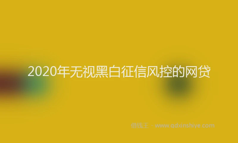 2020年无视黑白征信风控的网贷