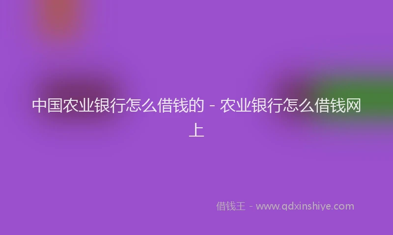 中国农业银行怎么借钱的 - 农业银行怎么借钱网上