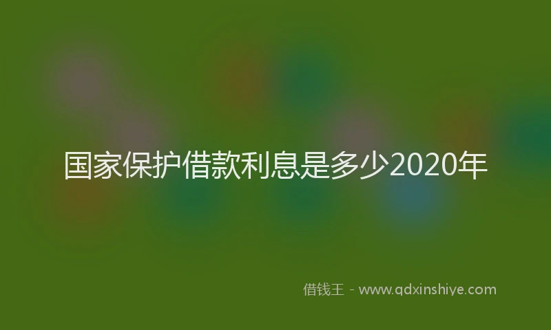 国家保护借款利息是多少2020年