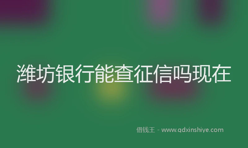 潍坊银行能查征信吗现在