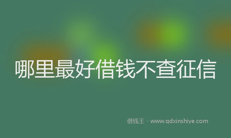 哪里最好借钱不查征信