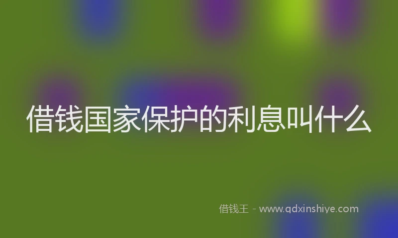 借钱国家保护的利息叫什么