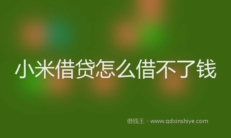 小米借贷怎么借不了钱