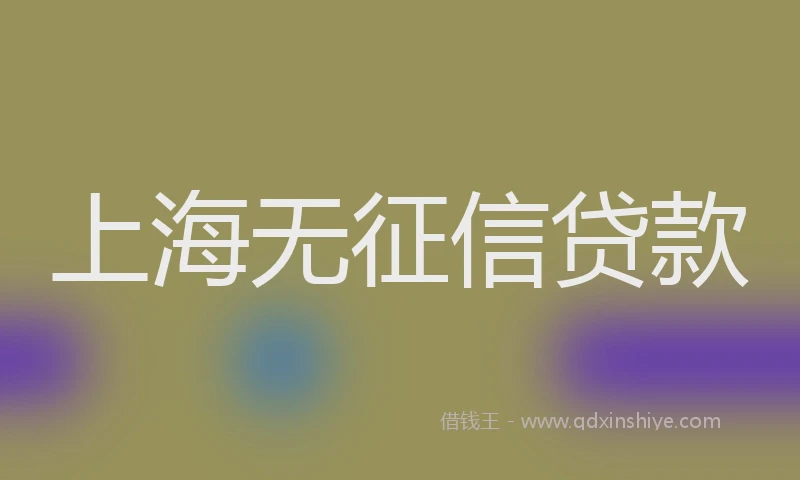 上海无征信贷款