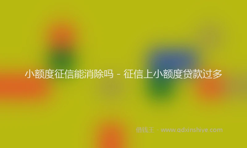 小额度征信能消除吗 - 征信上小额度贷款过多