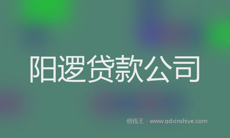 阳逻贷款公司