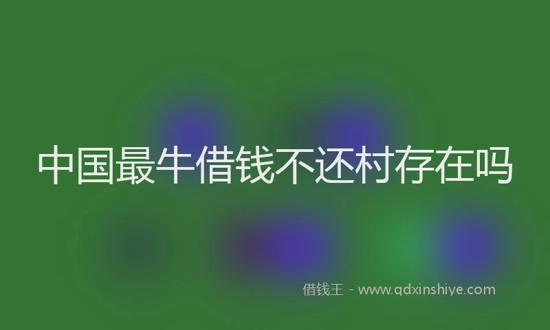 中国最牛借钱不还村存在吗