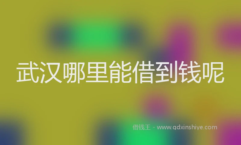 武汉哪里能借到钱呢