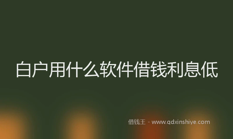 白户用什么软件借钱利息低