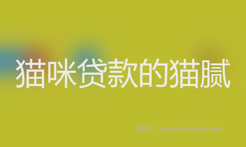 猫咪贷款的猫腻