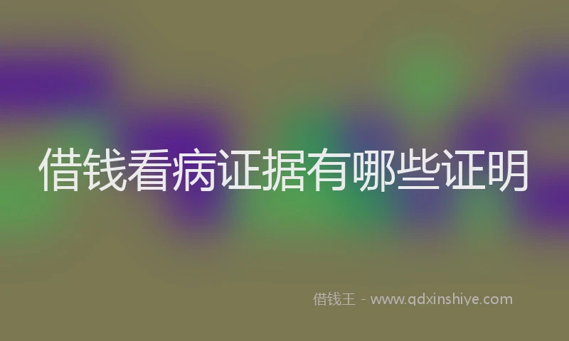 借钱看病证据有哪些证明