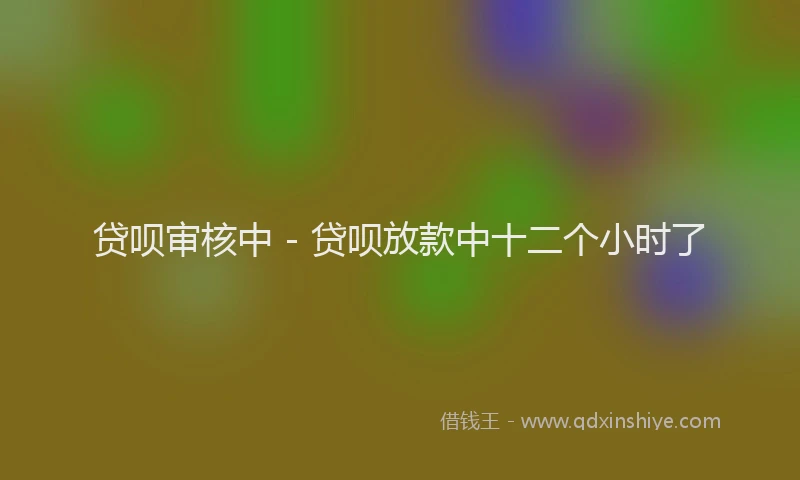 贷呗审核中 - 贷呗放款中十二个小时了