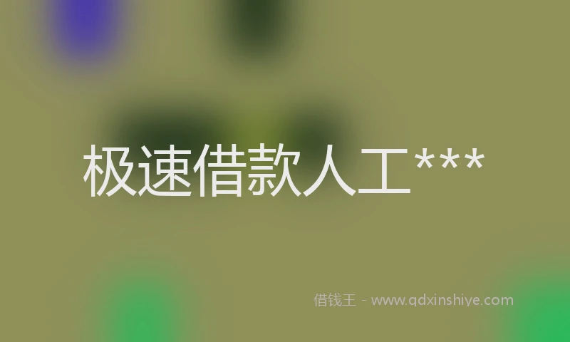 极速借款人工***