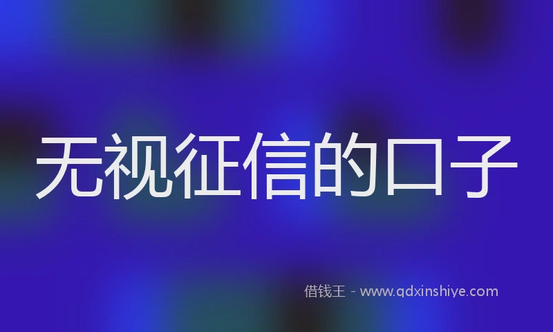 无视征信的口子