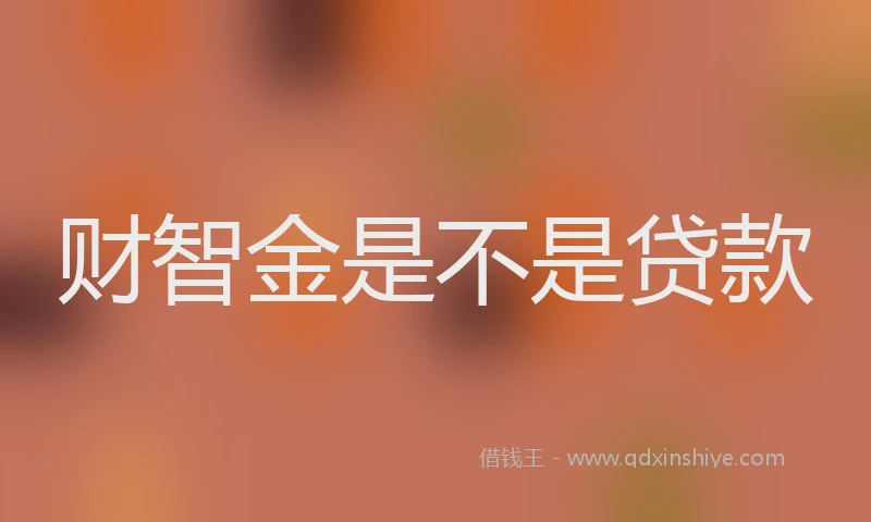 财智金是不是贷款