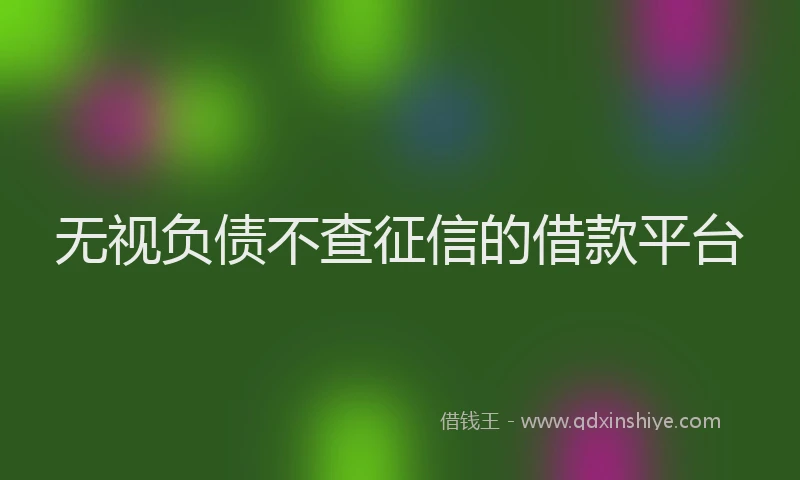 无视负债不查征信的借款平台