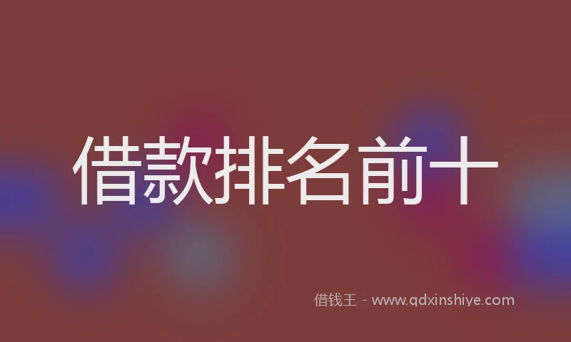 借款排名前十