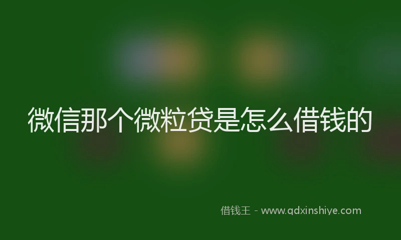 微信那个微粒贷是怎么借钱的
