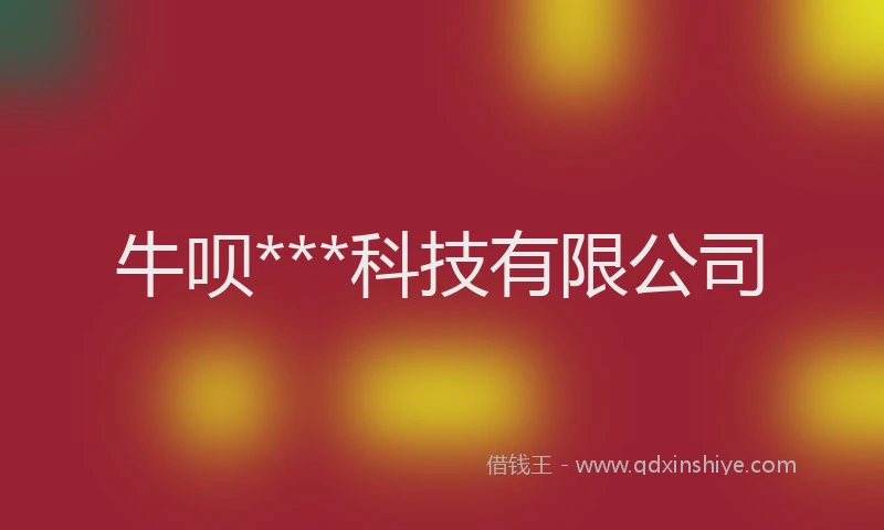 牛呗***科技有限公司