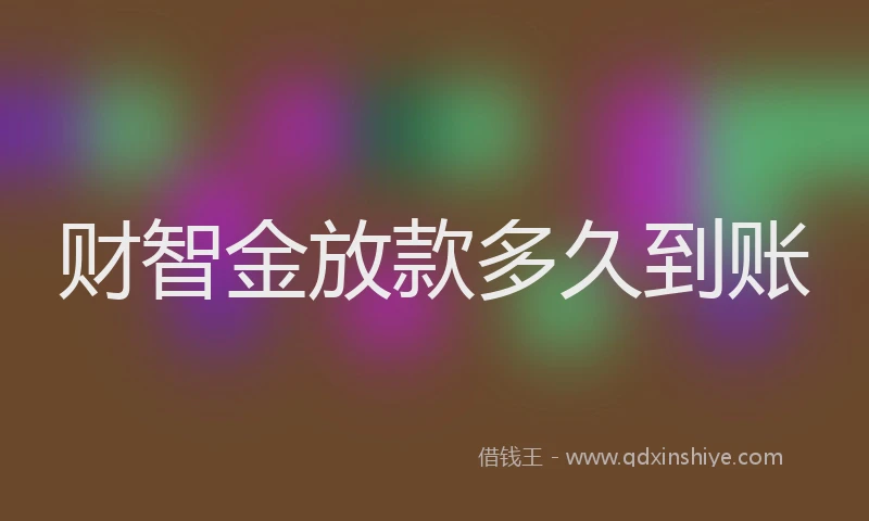 财智金放款多久到账