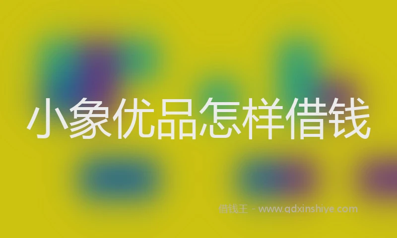 小象优品怎样借钱
