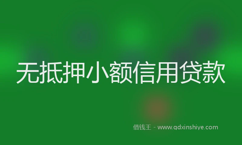 无抵押小额信用贷款