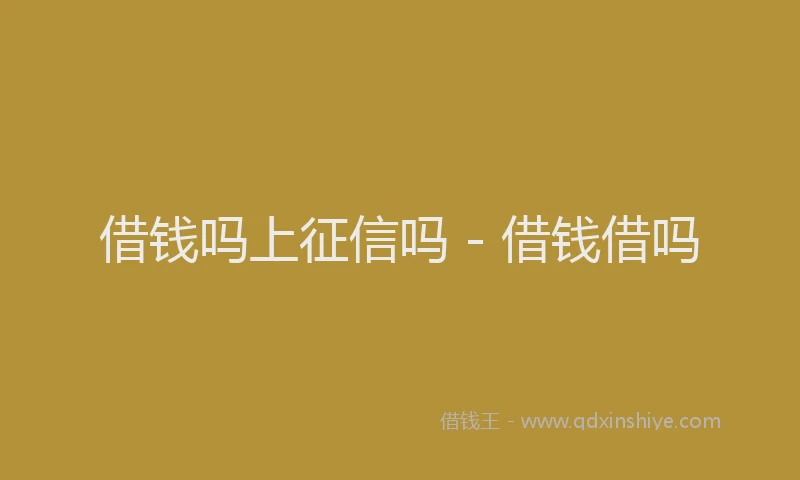 借钱吗上征信吗 - 借钱借吗