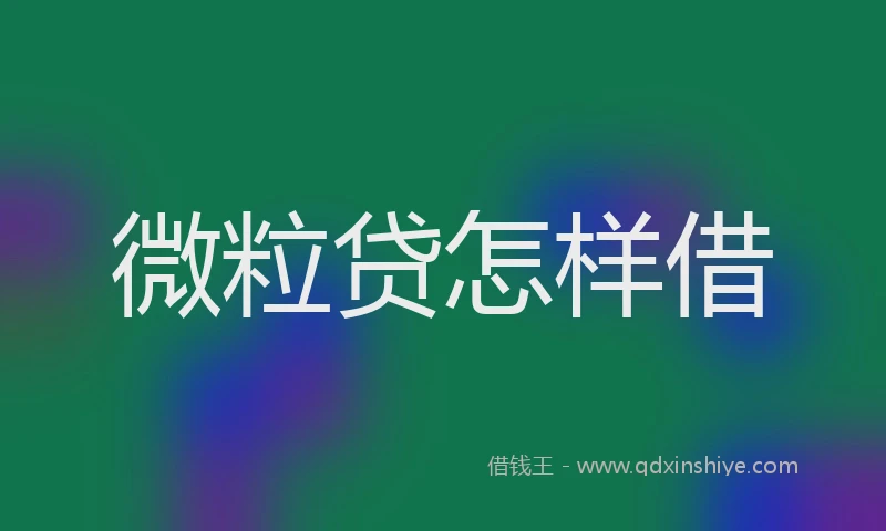 微粒贷怎样借