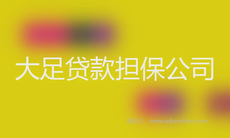 大足贷款担保公司