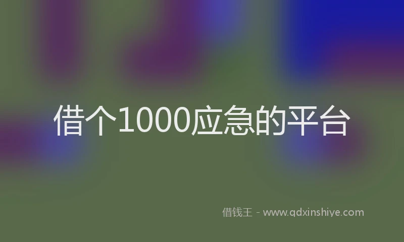 借个1000应急的平台