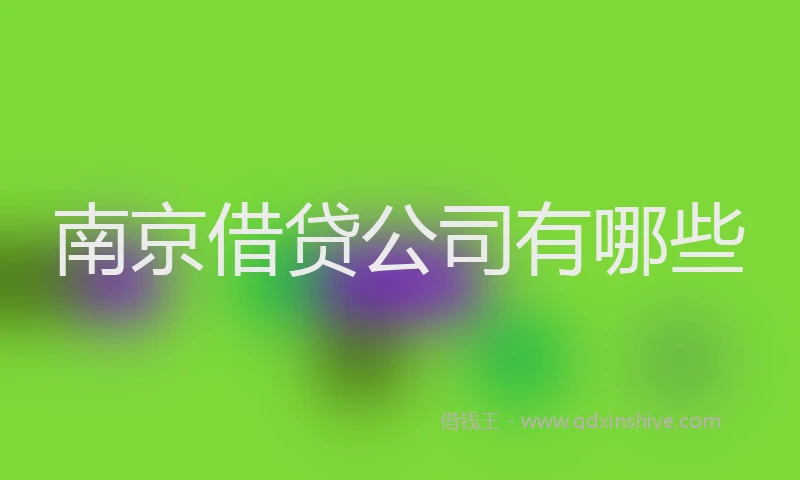 南京借贷公司有哪些