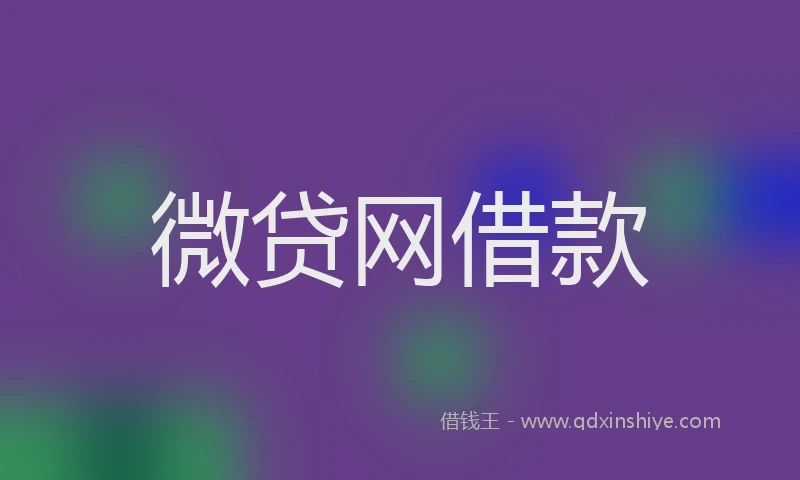 微贷网借款